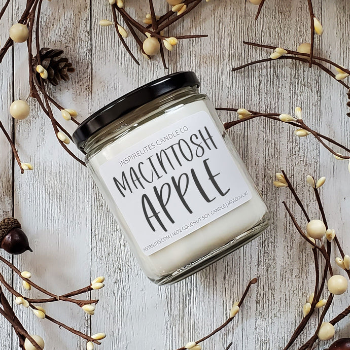 macintosh apple scented container candle, 16oz glass jar